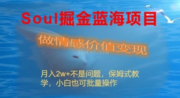 Soul掘金蓝海项目细分赛道，做情感价值变现，月入2w+不是问题-续财库