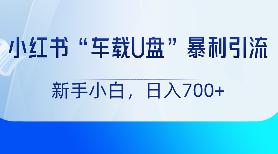 小红书“车载U盘”项目，暴利引流，新手小白轻松日入700+-续财库