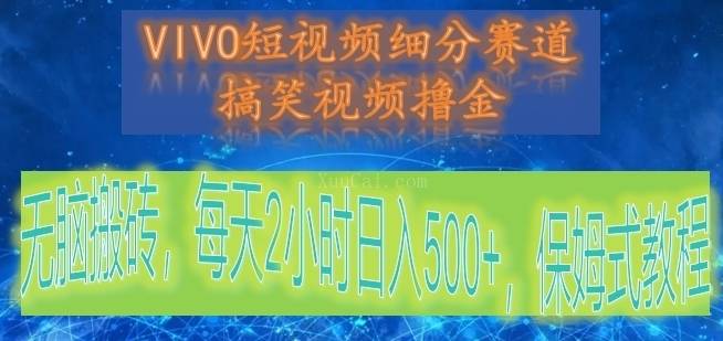VIVO短视频细分赛道，搞笑视频撸金，无脑搬砖，每天2小时日入500+，保姆式教程-续财库