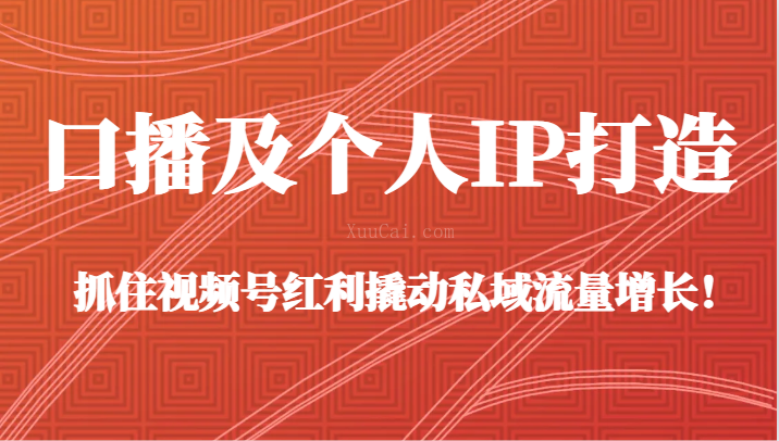 口播及个人IP打造，抓住视频号红利撬动私域流量增长！（45节课）-续财库