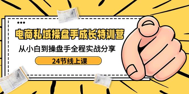 电商私域-操盘手成长特训营：从小白到操盘手全程实战分享-24节线上课-续财库