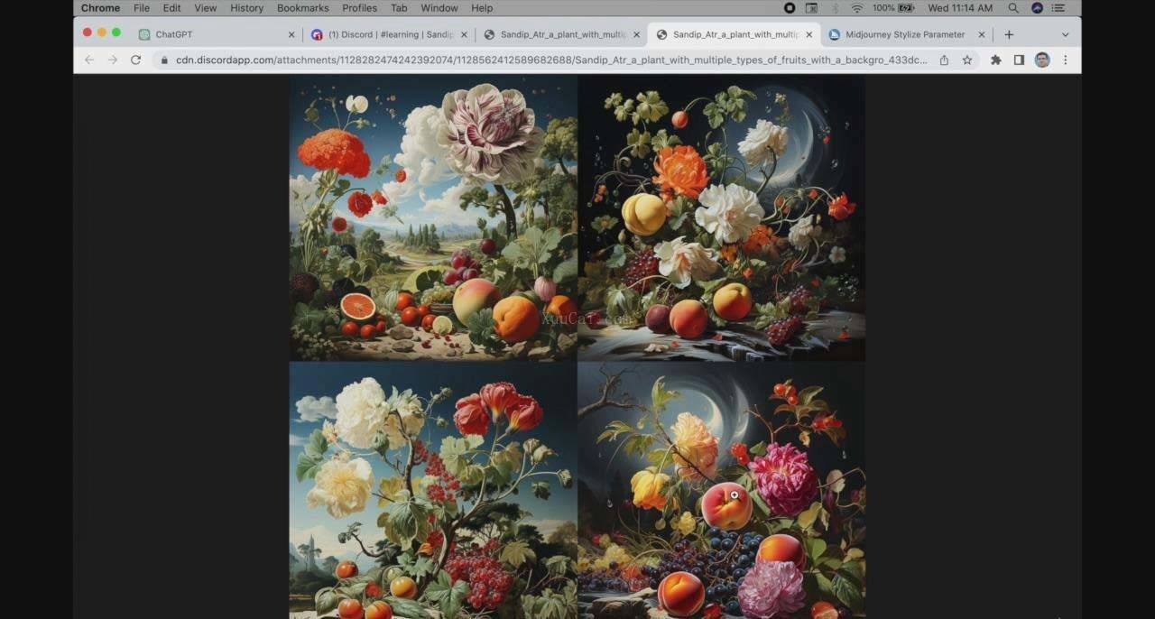 图片[3]-ChatGPT4 和 MidJourney AI 绘画聊天革命性指南教程-33节视频课-中英字幕-续财库