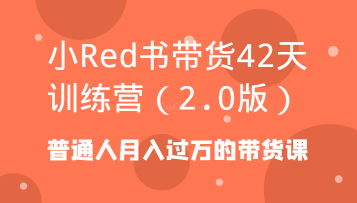 小Red书带货42天训练营（2.0版）普通人月入过万的带货课-续财库