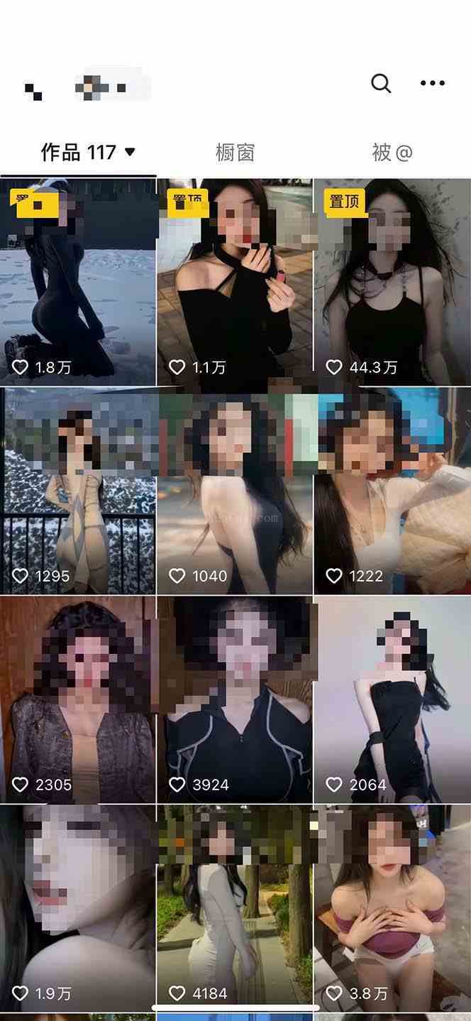 图片[2]-利用AI美女视频引粉，单号日引2000+，新手也能干（教程+软件）-续财库