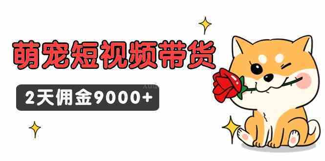 东哲日记·萌宠短视频带货，2天佣金9000+-续财库