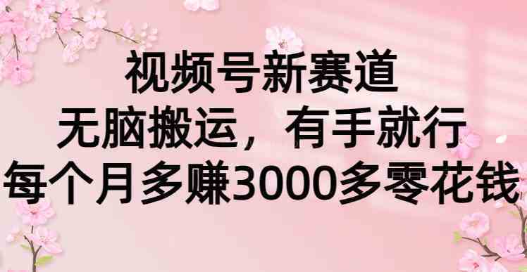 视频号新赛道，无脑搬运，有手就行，每个月多赚3000多零花钱-续财库