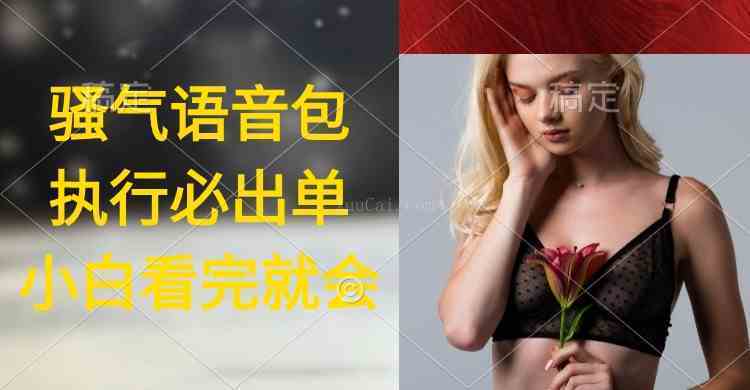 执行就出单，日入2000+，超火骚气语音包，小白看完课程就能马上实操-续财库