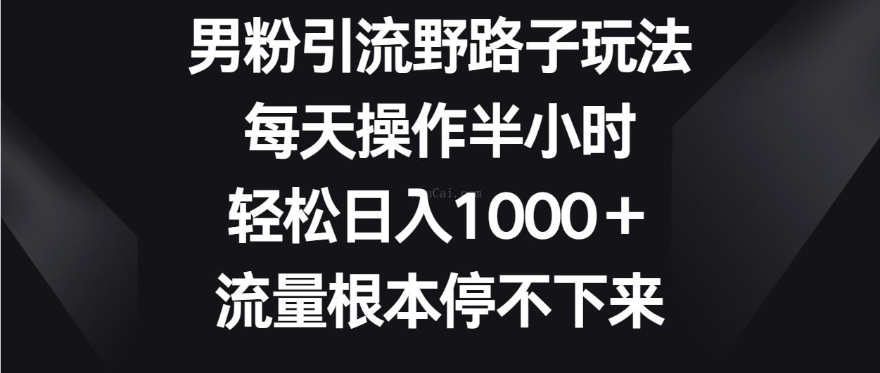 男粉引流野路子玩法，每天操作半小时轻松日入1000＋，流量根本停不下来