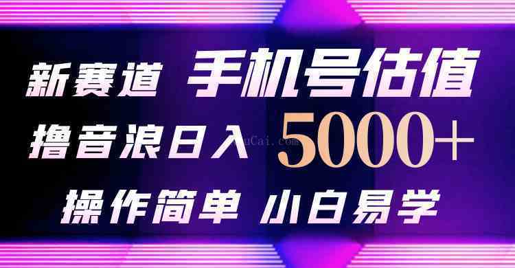 抖音不出境直播【手机号估值】最新撸音浪，日入5000+，简单易学