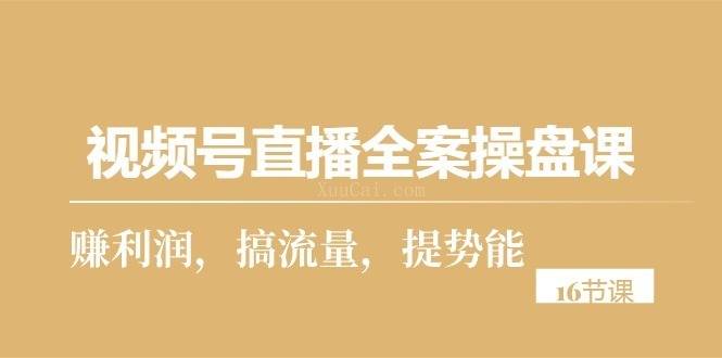 视频号直播全案操盘课，赚利润，搞流量，提势能（16节课）