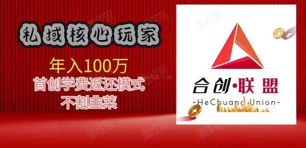 2024最大的风口 玩赚私域 年入百万核心玩家首创项目